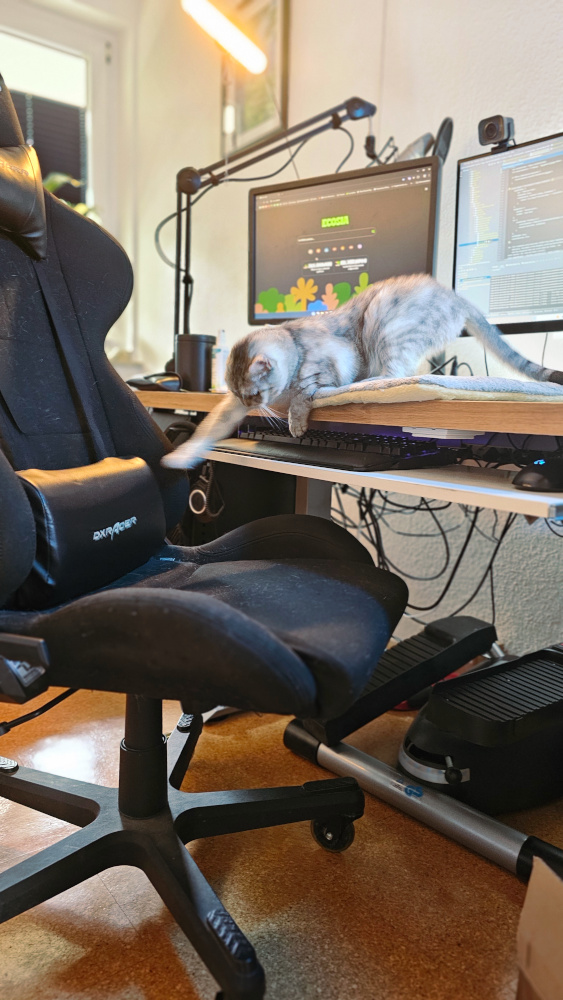 tech setup_cg_qu home office setup, cat on desk